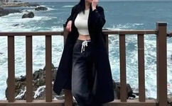 精灵之传奇训练家